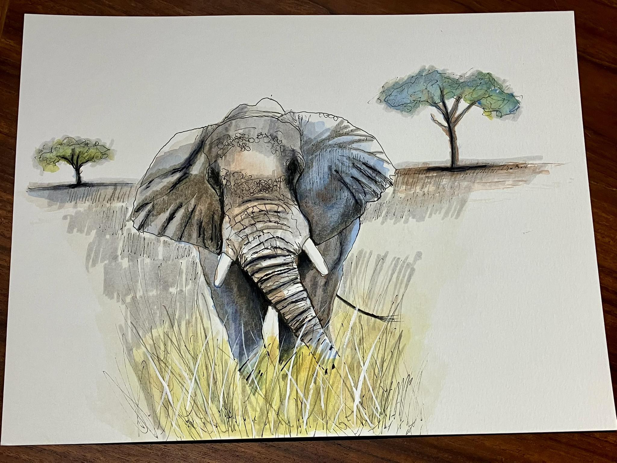 Ink and watercolor on Arches hot press