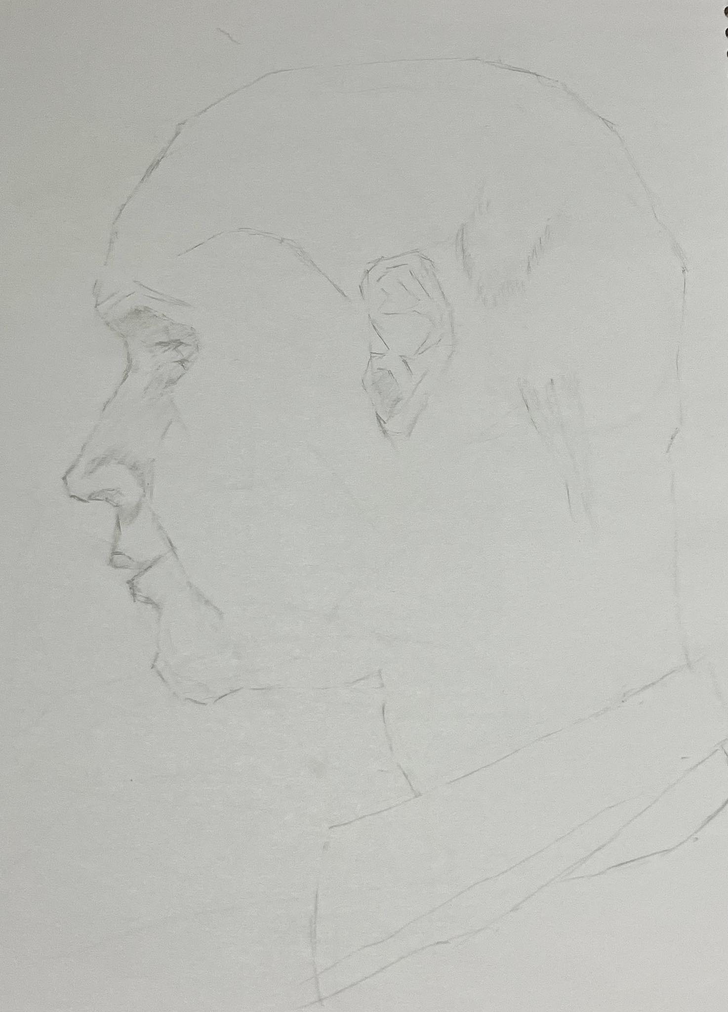 Fern study placeholder