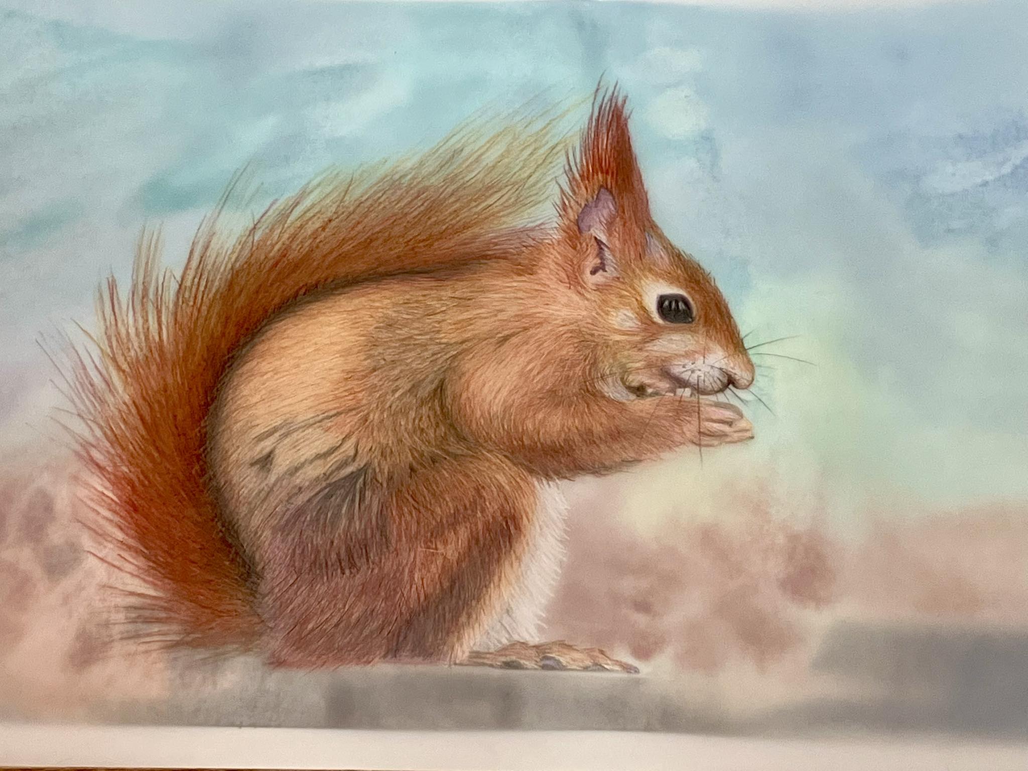 Colored pencil on drafting film