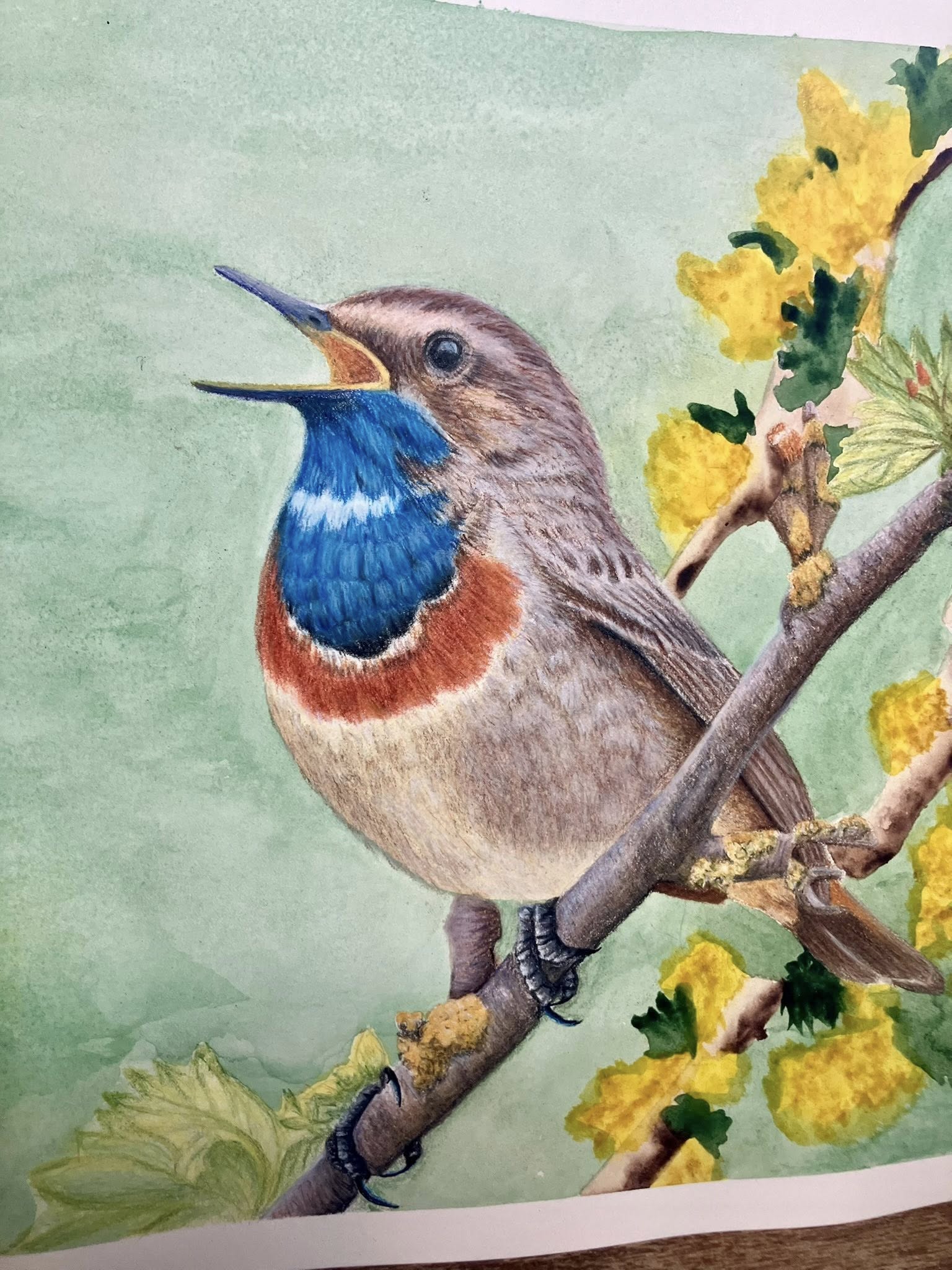 Colored pencil and watercolor on Arches hot press