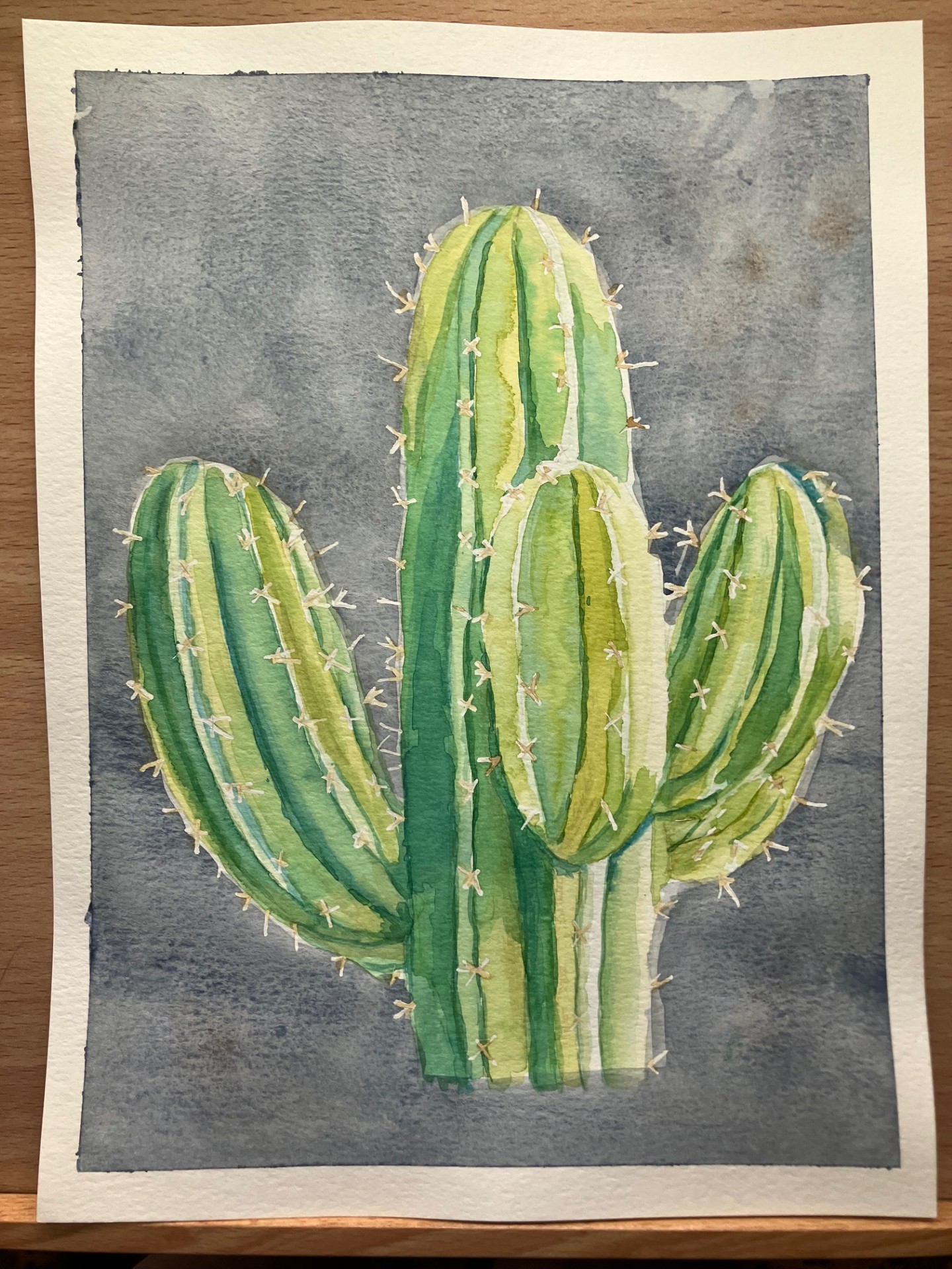 Daniel Smith watercolors on Canson student cold press
