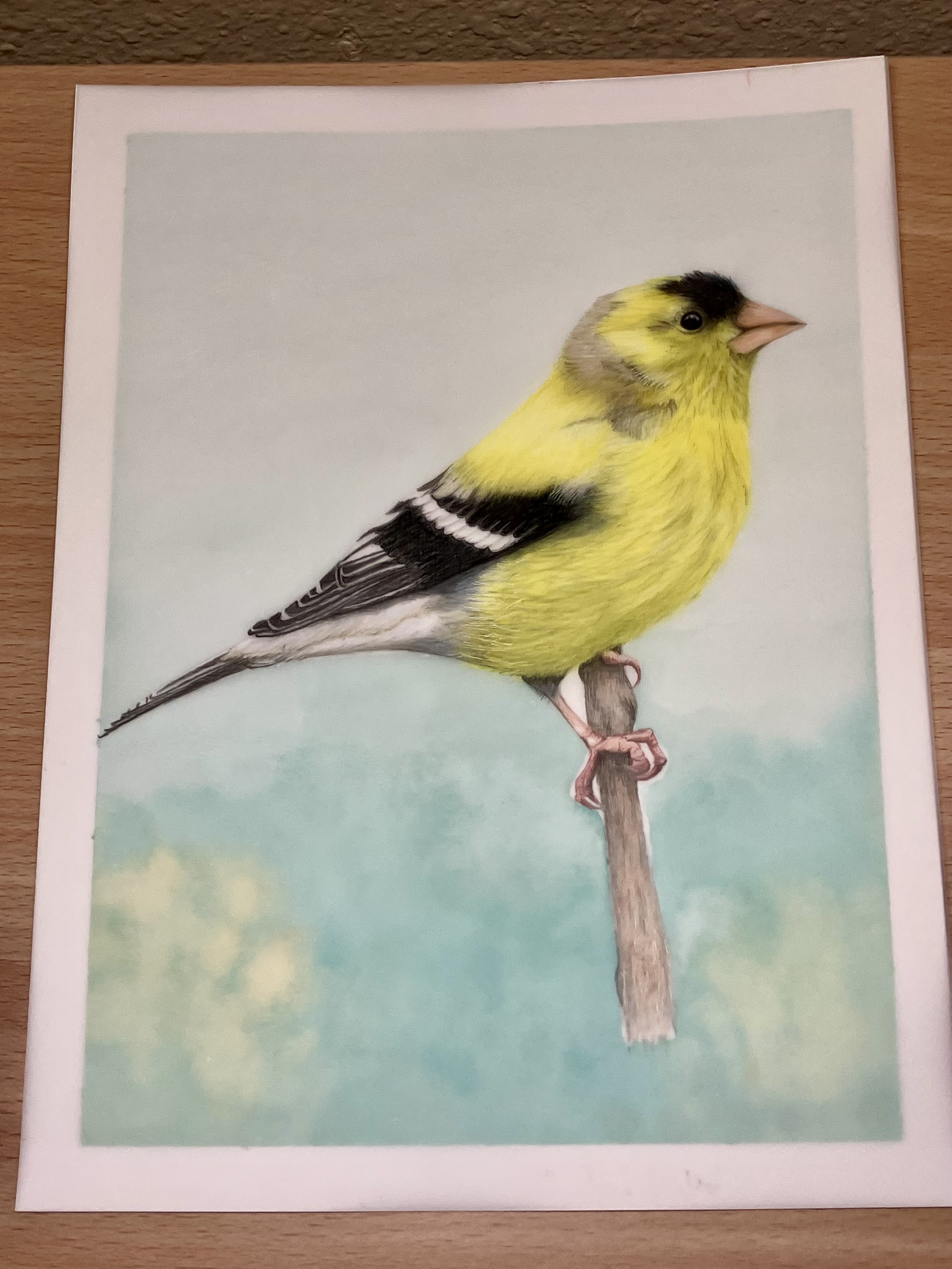 Colored pencil on drafting film