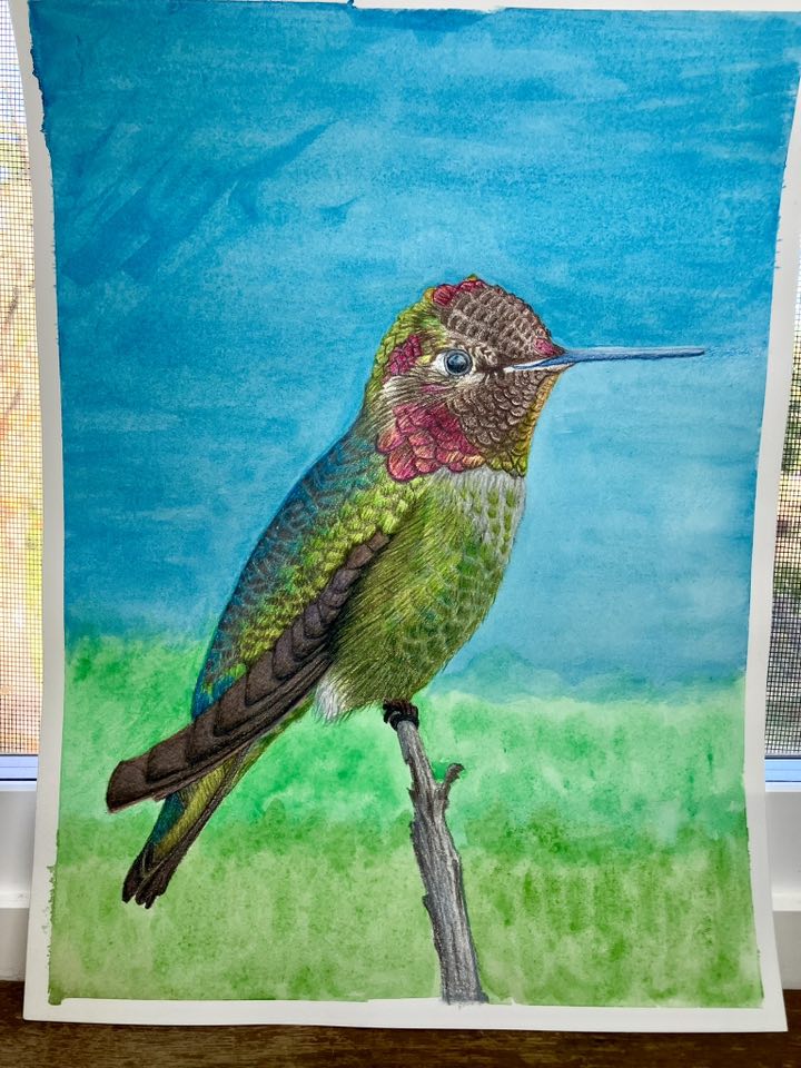 Colored pencil and watercolor on Arches hot press