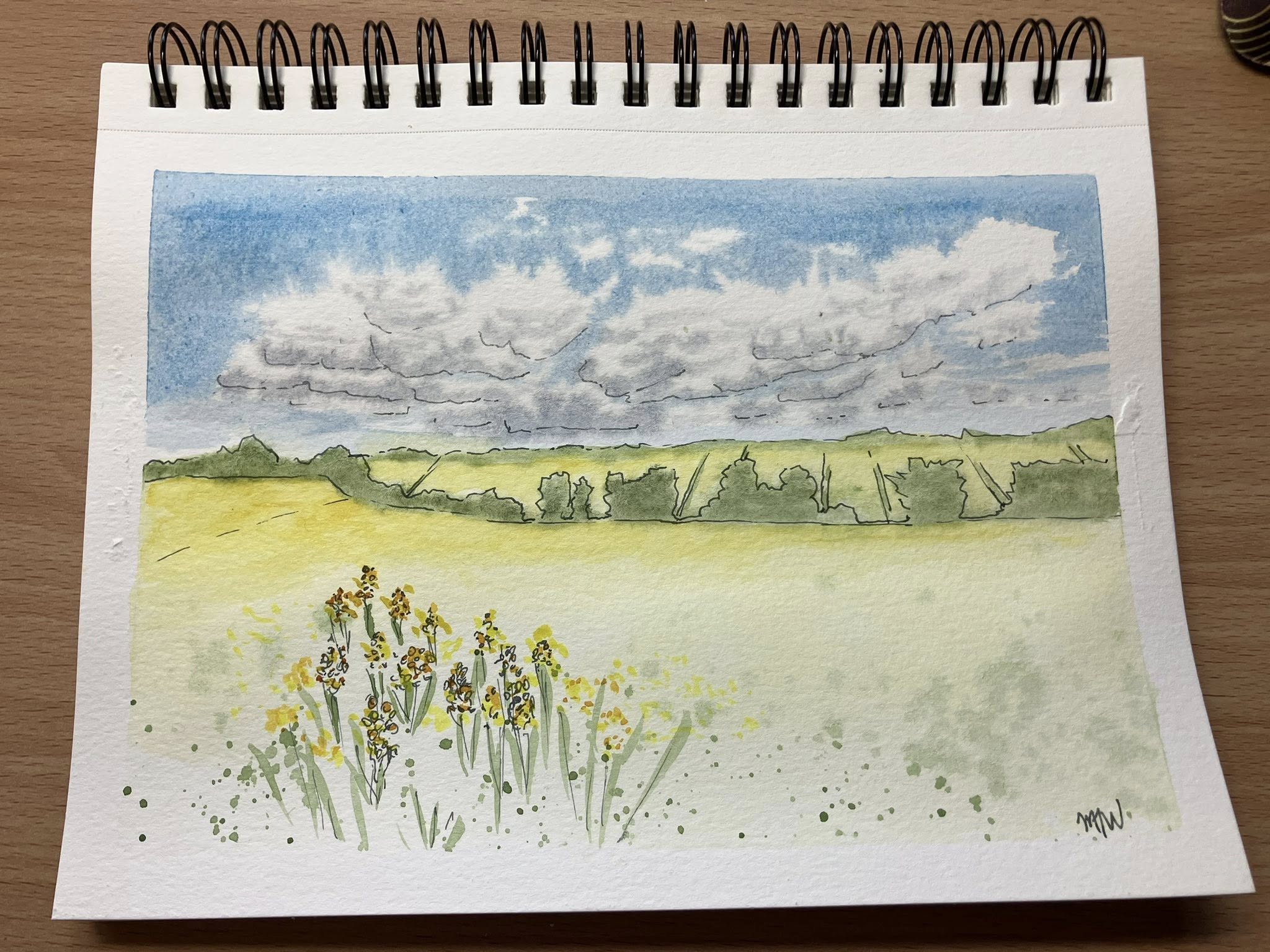 Ink and watercolor in sketchbook