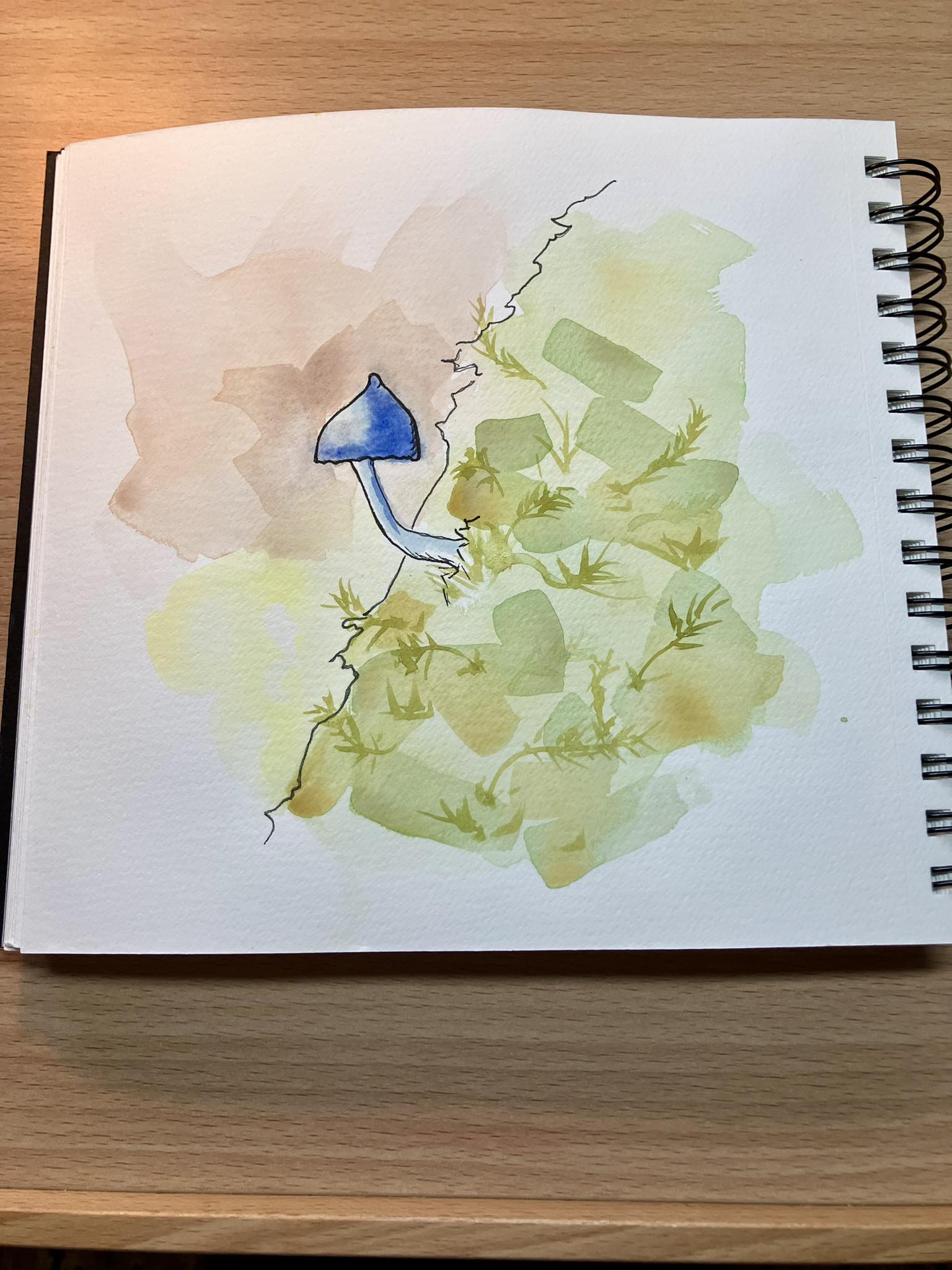 Ink and watercolor in sketchbook