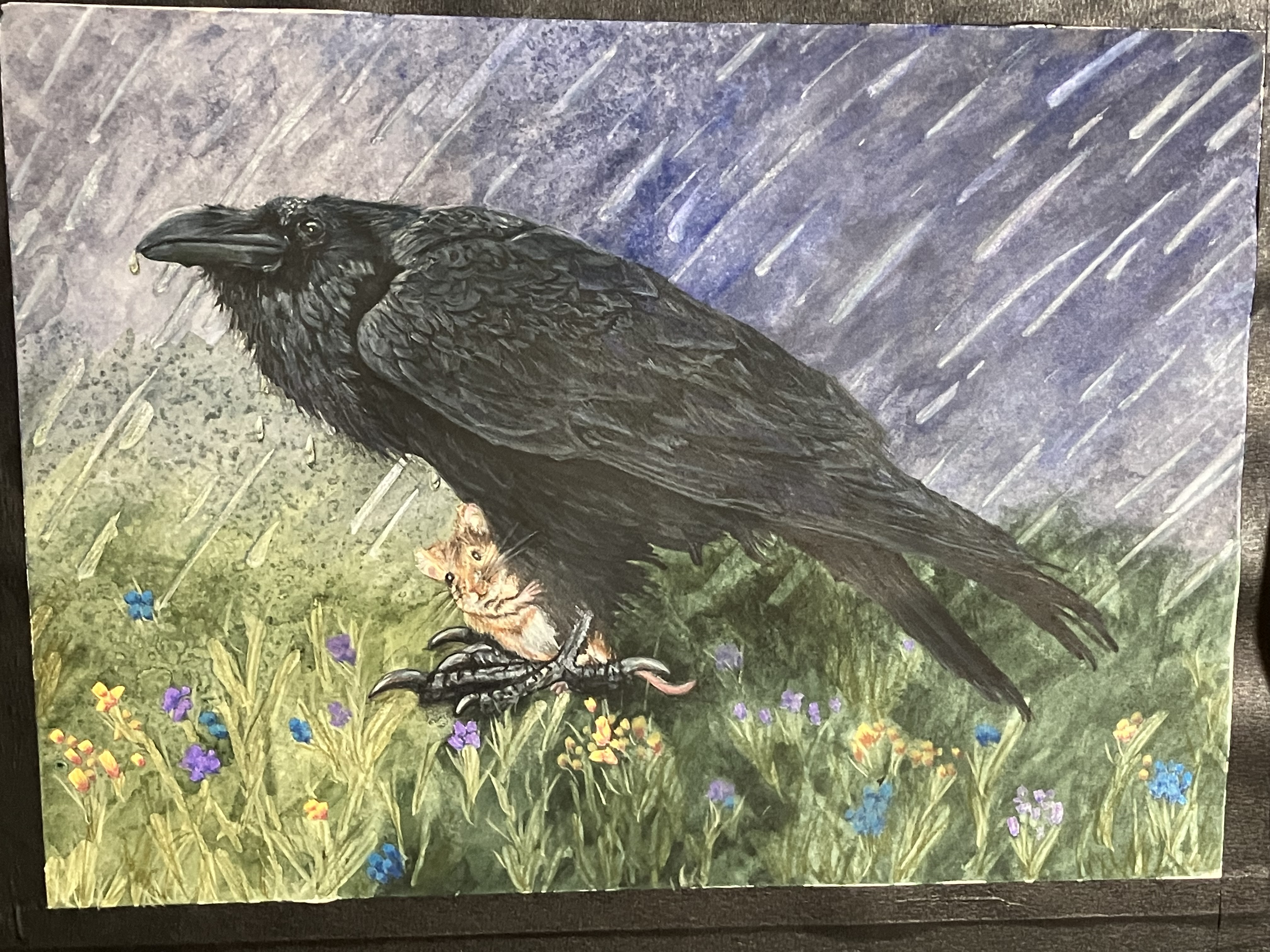 Raven drawing placeholder