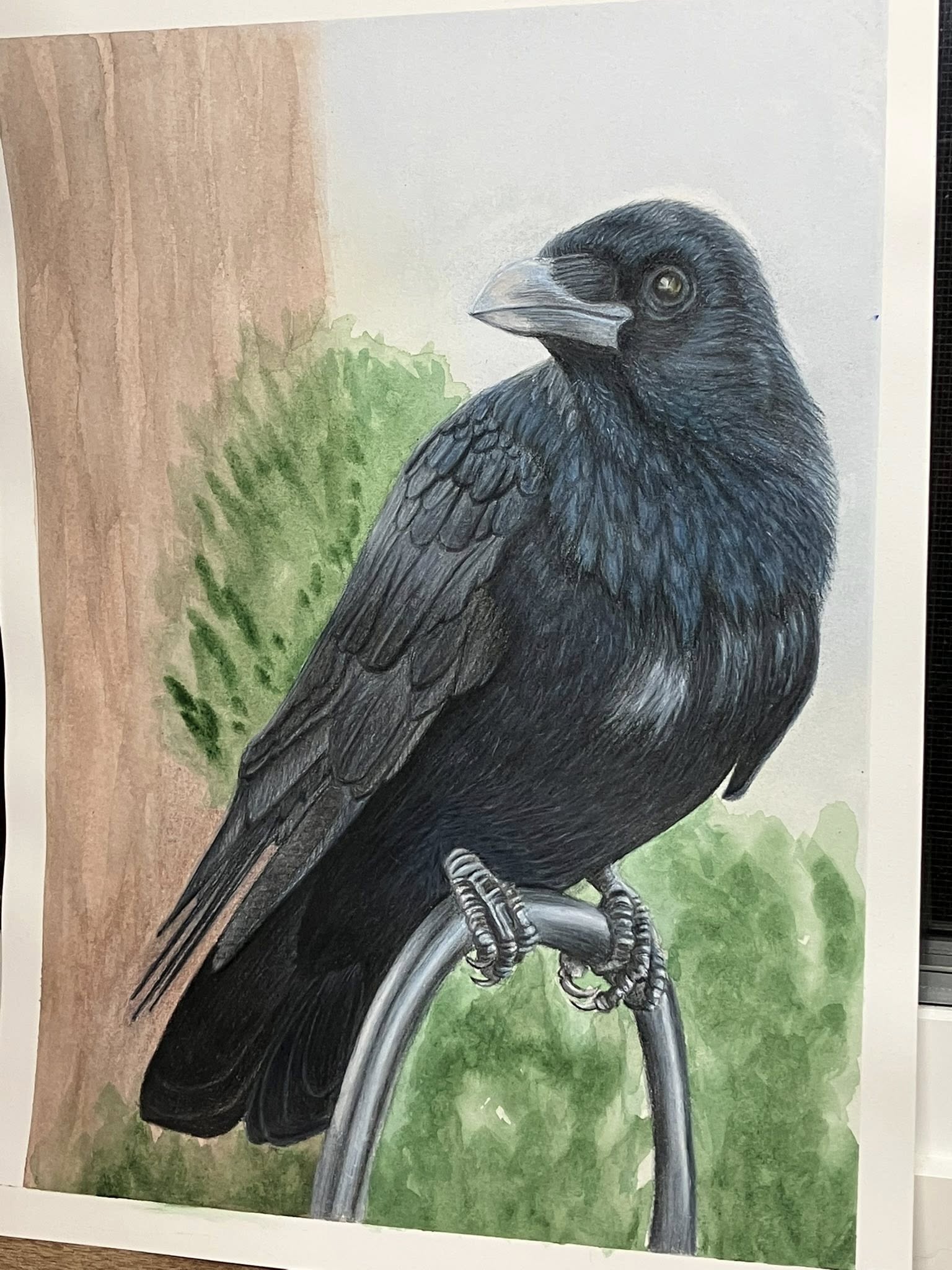 Colored pencil and watercolor on Arches hot press